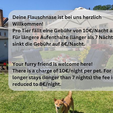 Zi2 - Urlaubsmagie - Whirlpool, Sauna Und Garten Apartamento Sebnitz Exterior foto