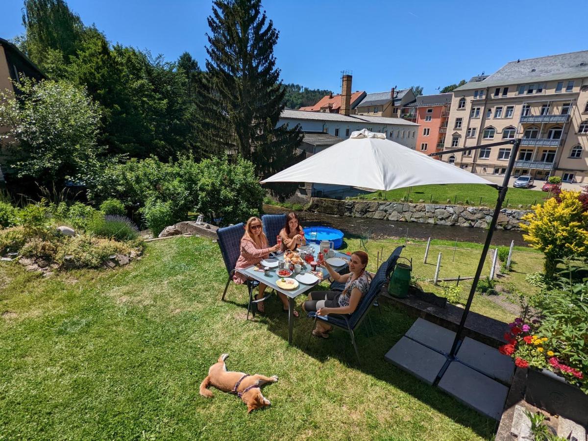 Zi2 - Urlaubsmagie - Whirlpool, Sauna Und Garten Apartamento Sebnitz Exterior foto