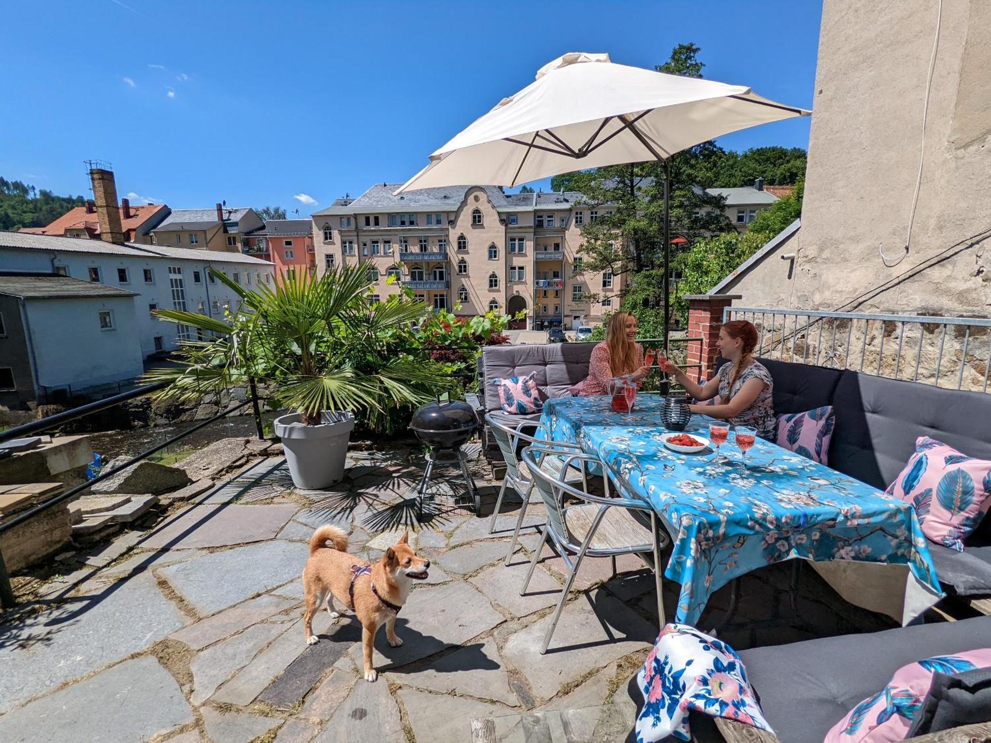 Zi2 - Urlaubsmagie - Whirlpool, Sauna Und Garten Apartamento Sebnitz Exterior foto