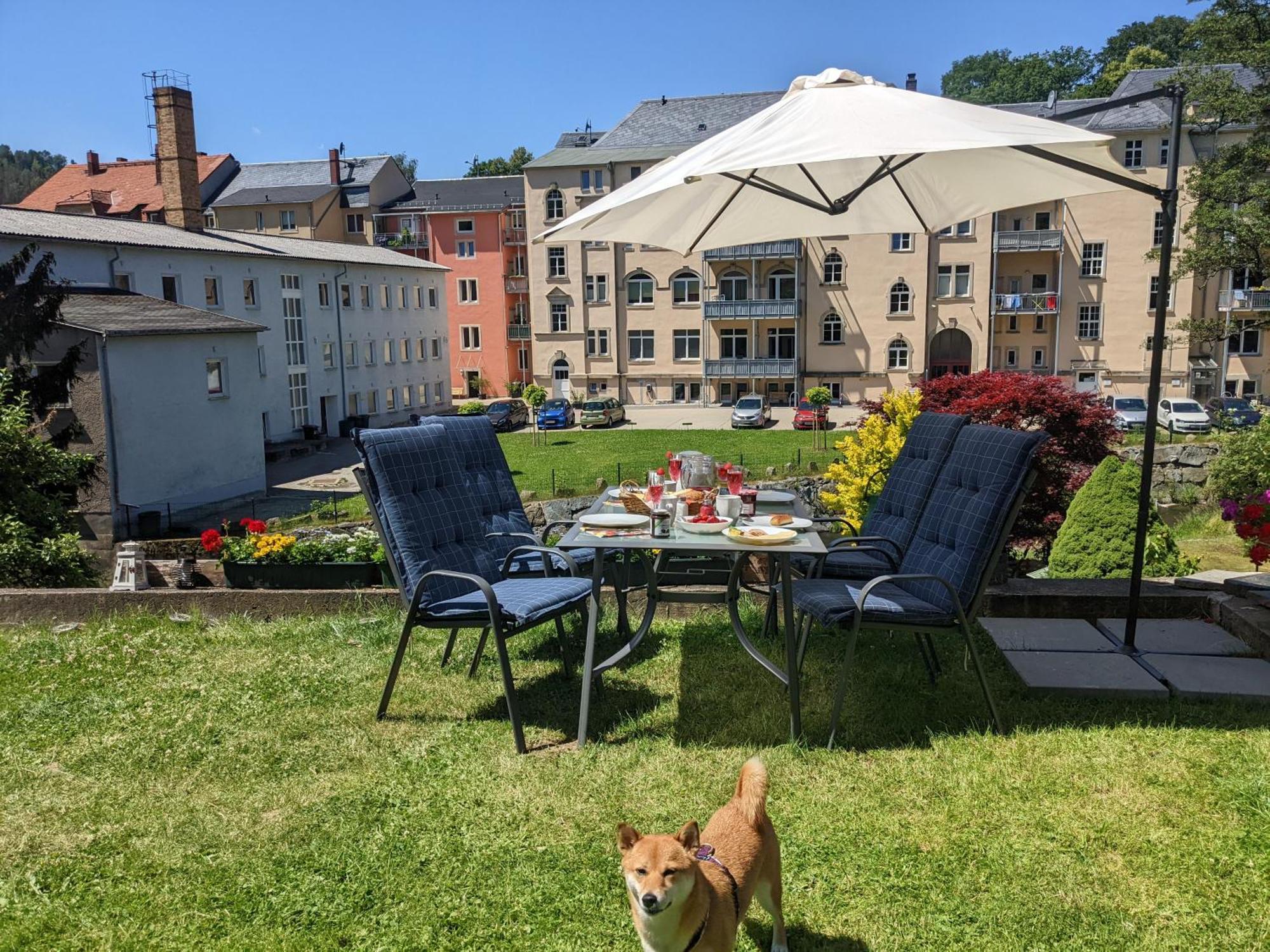 Zi2 - Urlaubsmagie - Whirlpool, Sauna Und Garten Apartamento Sebnitz Exterior foto